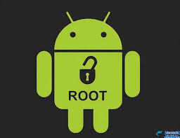 root